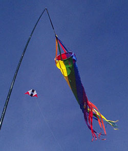 an_9905_01